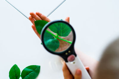 Close-up of hand holding leaf