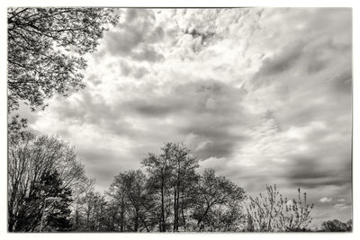 Low angle view of bare trees against cloudy sky