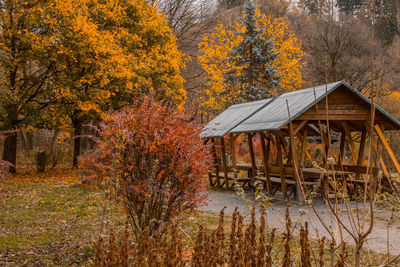 Trees by lake during autumn