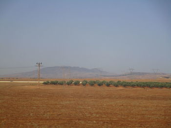 Scenic view of field against clear sky