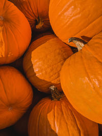 Full frame shot of pumpkin