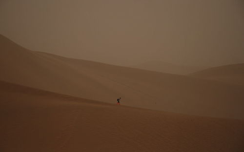 Person at sandy gobi desert against sky