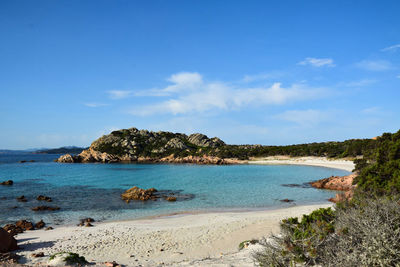 View of pink beach in budelli island, sardinia.