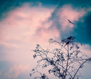 Low angle view of silhouette bird flying against sky