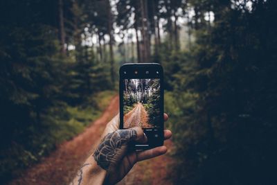 Hand holding smart phone in forest