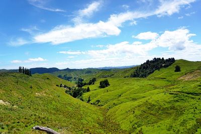 Scenic view of green landscape against blue sky