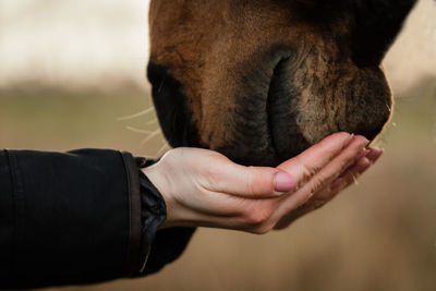 Close-up of man with dog