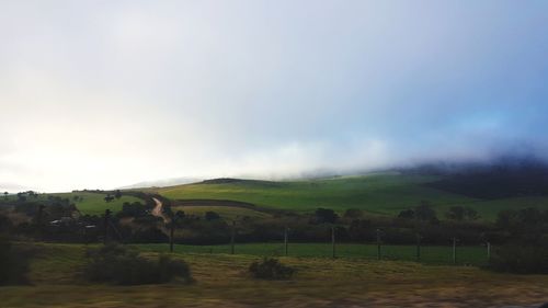 Trees on field against sky