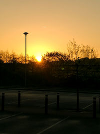 Silhouette of trees at sunset