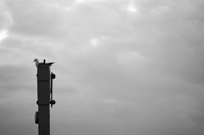 Silhouette of bird perching on pole against sky