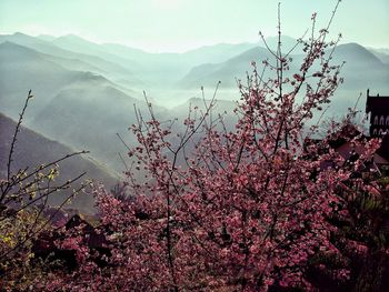 Scenic view of tree mountains against sky