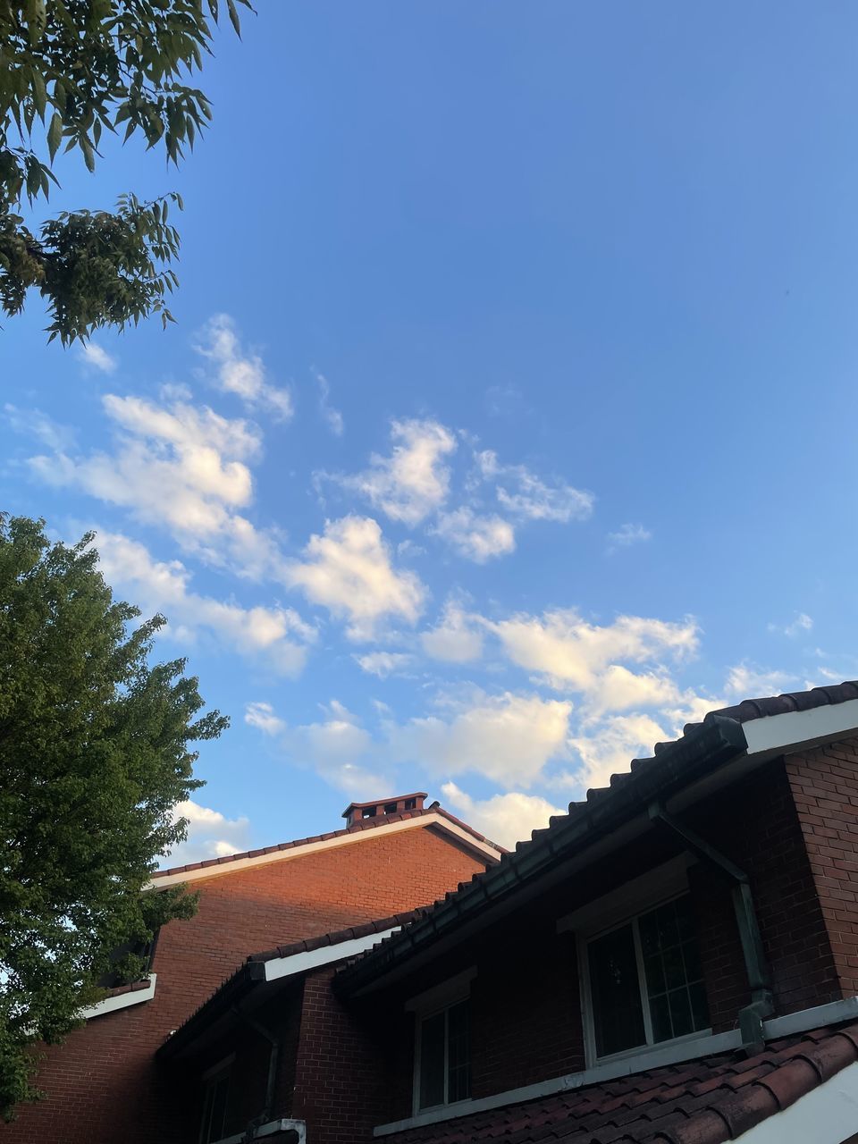 sky, architecture, built structure, tree, building exterior, cloud, low angle view, nature, blue, plant, building, day, sunlight, no people, outdoors, city, residential district, house