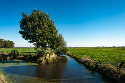 Scenic view of river amidst field against clear blue sky