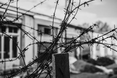 Close-up of barbed wire fence against building