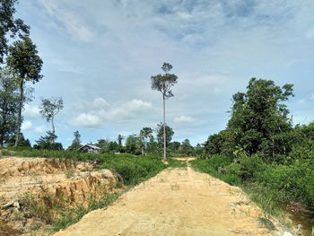 Dirt road amidst trees against sky