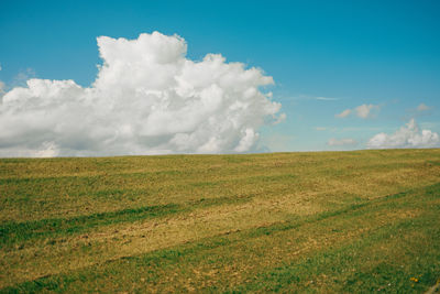 Scenic view of agricultural field against sky