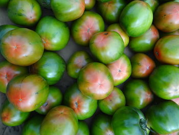 
full frame shot of tomatoes
