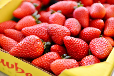 Close-up of strawberries