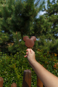 Midsection of person holding heart shape on tree