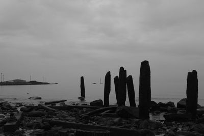 Cactus by sea against sky