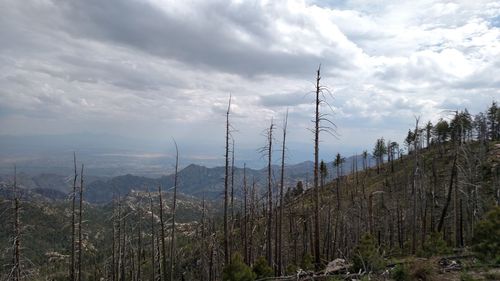 Scenic view of landscape against cloudy sky