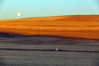 Beautiful sunset, beautiful golden prairie