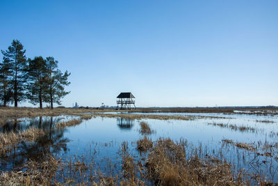 Observation deck and marshy areas, horizon and sky