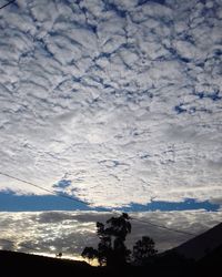 Low angle view of silhouette tree against sky