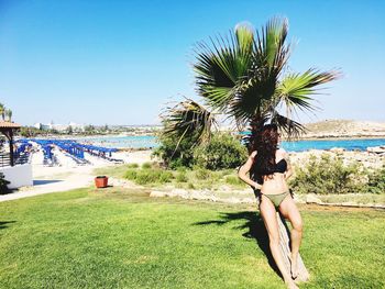 Woman standing by palm tree on beach against clear sky