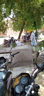 People on road against trees in city