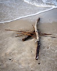 Driftwood on sandy beach