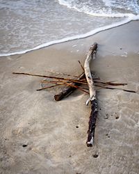 High angle view of driftwood on beach