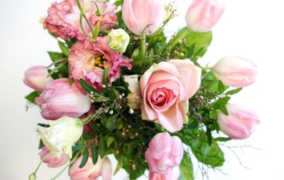 Close-up of rose bouquet against white background