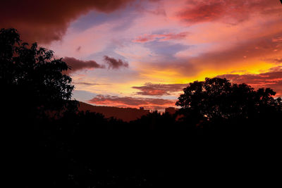 Silhouette trees against dramatic sky during sunset