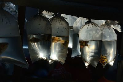 Close-up of clothes hanging