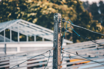 Close-up of barbed wire against fence