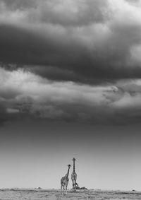 Statue on beach against sky