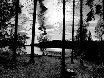 Scenic view of lake against trees in forest