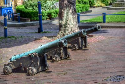 Close-up of pipe on tree