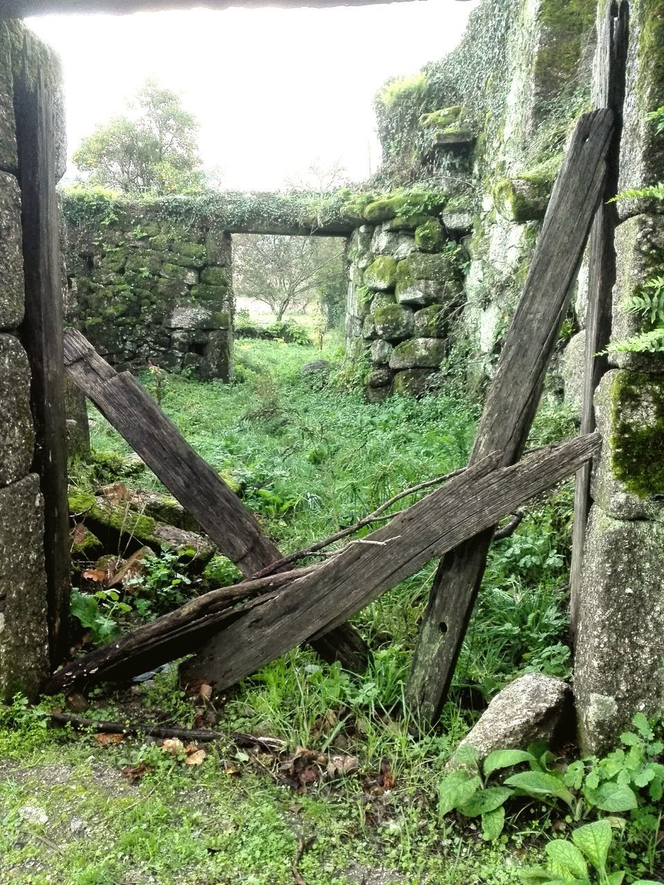 OLD WOODEN STRUCTURE ON FIELD