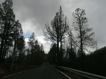 Empty road along trees and plants against sky
