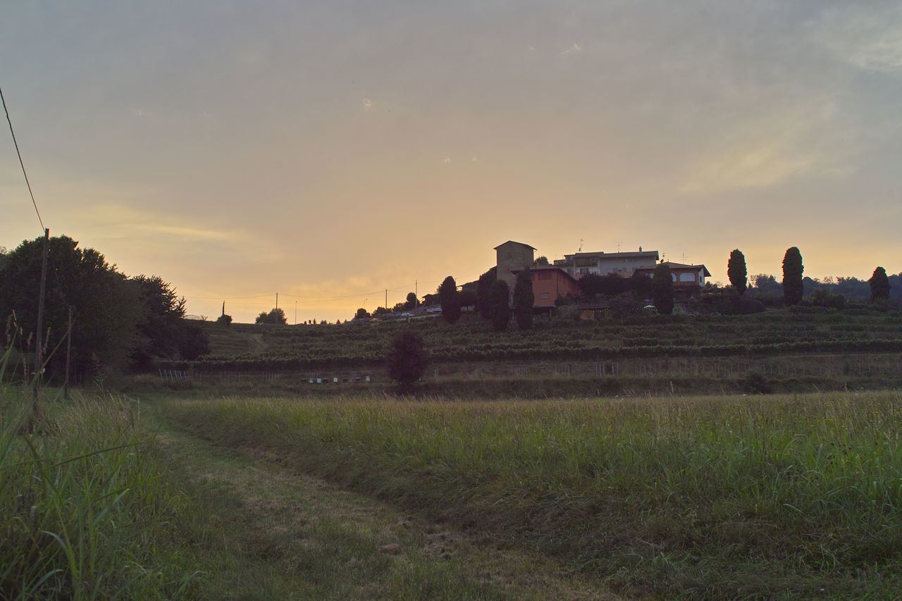 SCENIC VIEW OF FIELD AGAINST SKY AT SUNSET