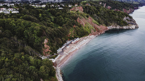 High angle view of sea and trees