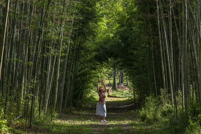 Woman standing by tree trunks in bamboo forest