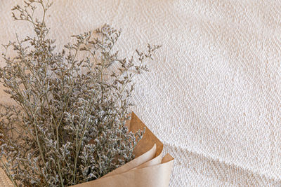 High angle view of woman hand by white flowering plants