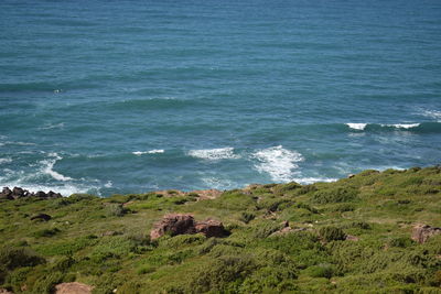 Scenic view of sea shore