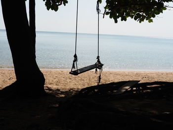 Swing hanging on tree trunk at beach against sky