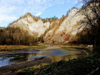 Scenic view of lake in forest against sky