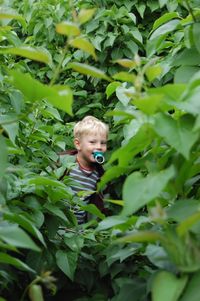 Portrait of smiling boy with pacifier in mouth standing amidst plants