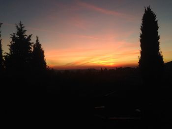 Silhouette trees on landscape against sky at sunset